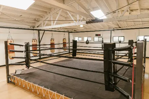 Salle de Boxe Anglaise + matériels et équipements